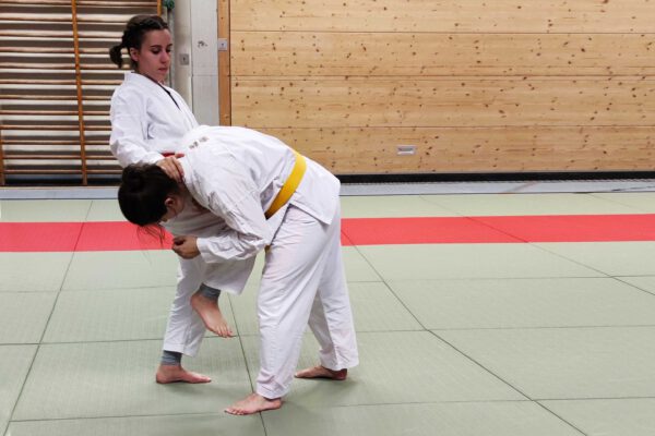 Jiu Jitsu BFSV Lahr e.V. Selbstverteidigung & Kampfsport