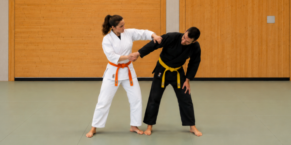Ju-Jutsu Landeslehrgang mit Achim Hanke am 10.10.26