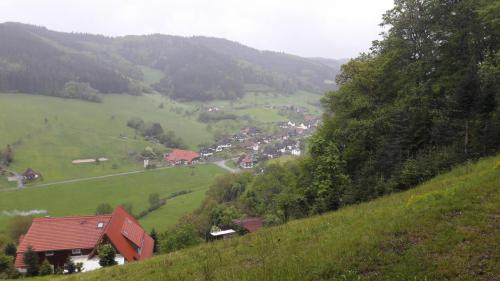 Herrliche Aussicht auf Prinzbach