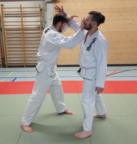 Jiu-Jitsu Abwehr von Schlagangriff